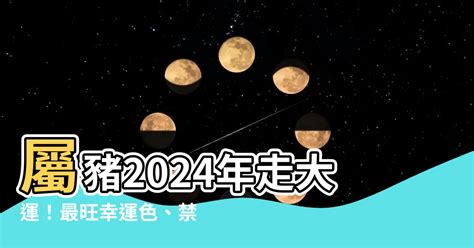 1971豬幸運色|【1971豬幸運色2024】1971年屬豬2024幸運色揭曉！搶先掌握財。